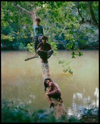 Children of the Kaaguy