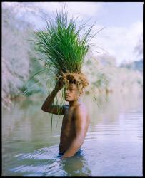 Nature’s Extension