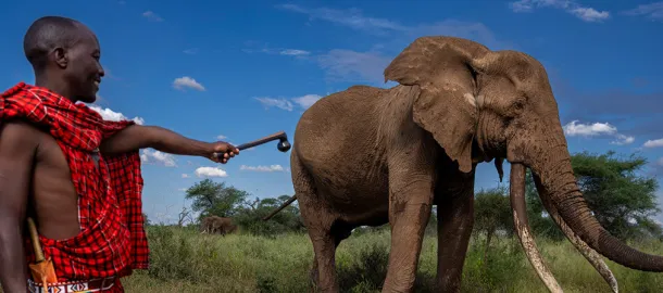 Monde naturel et vie sauvage